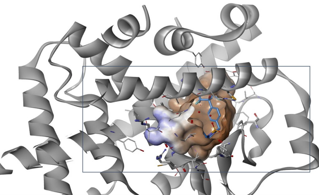 novel targets for skin health